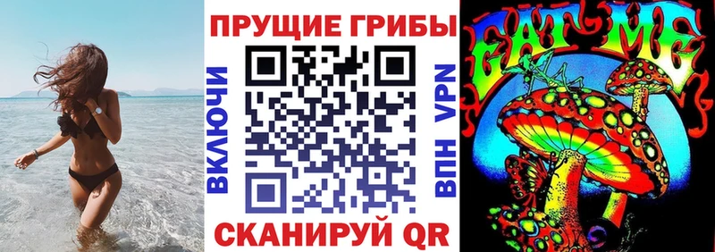 Галлюциногенные грибы мицелий  даркнет телеграм  Александров  наркота 